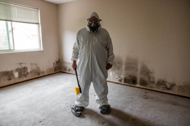 Best Emergency Mold Removal  in Everman, TX